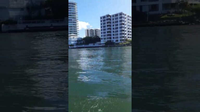 Gold Coast  | Australia  Brisbane | Queensland | #viral #shorts #australia #shortsfeed #australia