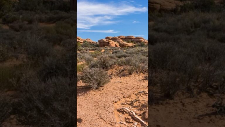Tips for Visiting Arches National Park No. 6 #arches #archesnationalpark #utah #usnationalparks